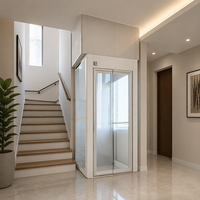 Ascensore Residenziale Idraulico Intelligente dal Design Moderno, Personalizzato Senza Ingranaggi per Villa, con Certificazione ISO9001/CE