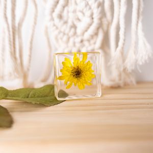 الحفاظ على الزهور الحقيقية واضحة الكريستال الحرفية الهدايا القطيفة الفرنسية ثقالة الورق للديكور - Product Image 5