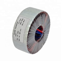 OEM Personnalisé Cuivre Amplificateurs Audio Toroïdal Transformateur Fabricant