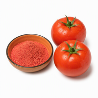 Sachets d'assaisonnement pour tomates imprimés sur mesure 10g, certifiés Halal, poudre salée pour soupes, conteneur 20 pieds, exportation directe de Chine