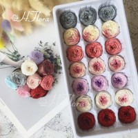 Chaude Arrangement De Fleurs Préservées Austin Pivoine Parfaite Comme Austin Rose Préservée Tête De Fleur Immortelle
