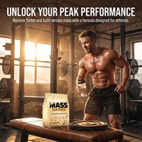 Poudre de gain de masse végétalienne OEM/ODM la plus vendue, certifiée Halal GMP ISO, protéine de haute qualité, supplément de gym pour la croissance musculaire
