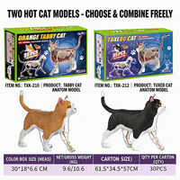 Modèle d'anatomie de chat 4D, modèle d'organes de chat et de chien simulés en noir et blanc, ressources pédagogiques biologiques pour l'école
