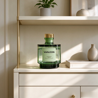 Bouteilles en verre vides de luxe pour diffuseur à bâtonnets avec boîte, 200 ml, grandes bouteilles ambrées transparentes pour désodorisant de voiture et d'intérieur, 250 ml, 150 ml