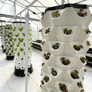 Système de culture hydroponique vertical en serre Culture agricole hors-sol Tour de culture hydroponique verticale Tour d'ananas - Product Image 5