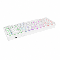 Hot Swap 68 Keys Gasket Mount Mechanical Keyboard Gaterson Outemu Red Switch PBT Double Shot Keycaps for Gaming