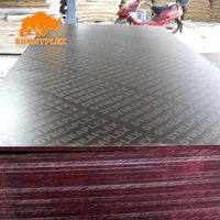 Best Modern Timber for Triplay Maderera for Warehouse Use First-Class Grade Poplar Core Outdoor Plywood