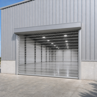Porte de garage automatique industrielle enroulable en polycarbonate transparent, étanche aux intempéries, pour garage, salle blanche, usine, entrepôt, devanture de magasin