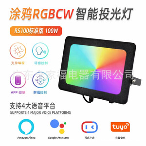 ทูย่า สมาร์ท ฟลัดไลท์ไฟ LED สีสันสดใสสำหรับติดผนังกลางแจ้ง ควบคุมผ่านแอพ ลำแสงกว้าง 240LED อายุการใช้งาน 50000 ชั่วโมง - Product Image 3