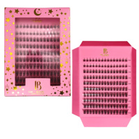 Extensions de cils en éventail à marque privée, grappes de cils segmentées DIY, logo personnalisé, grappes de cils recourbés faites à la main, vente en gros Petaas