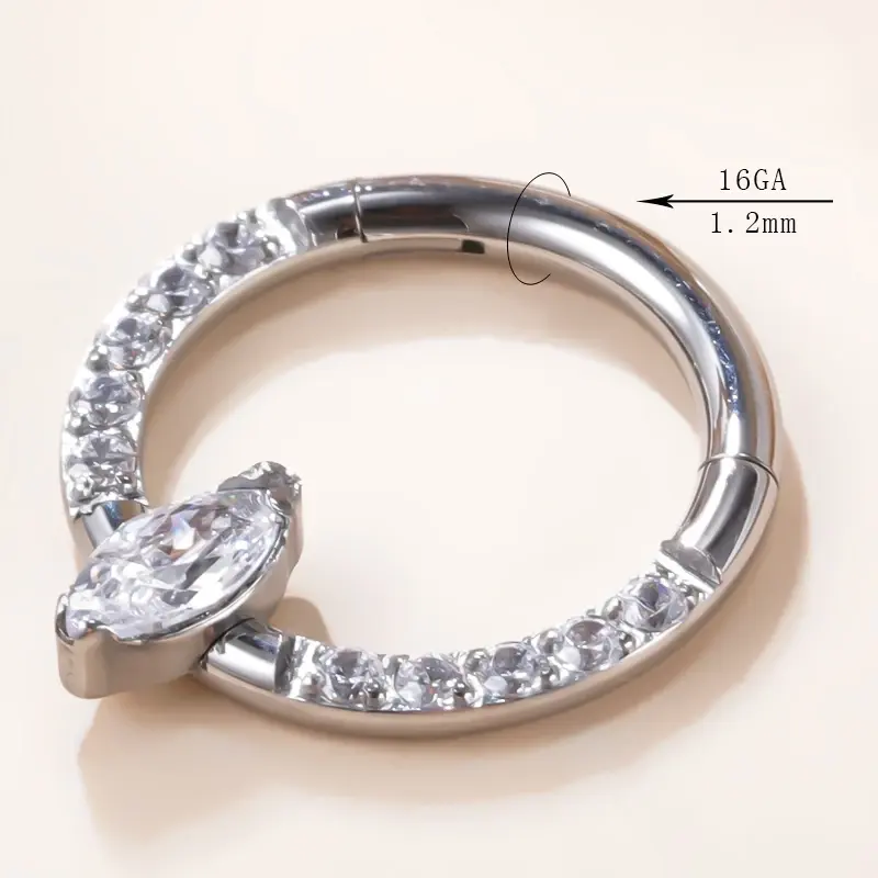 Fashion Body Piercing Jewelry Segment Hinged Septum Clicker Designer Titanium Hoop Nose Ring Jewelry