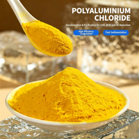 Chlorure de polyaluminium (PAC) en poudre 28% 30% de qualité industrielle, coagulant floculant pour le traitement des eaux usées municipales