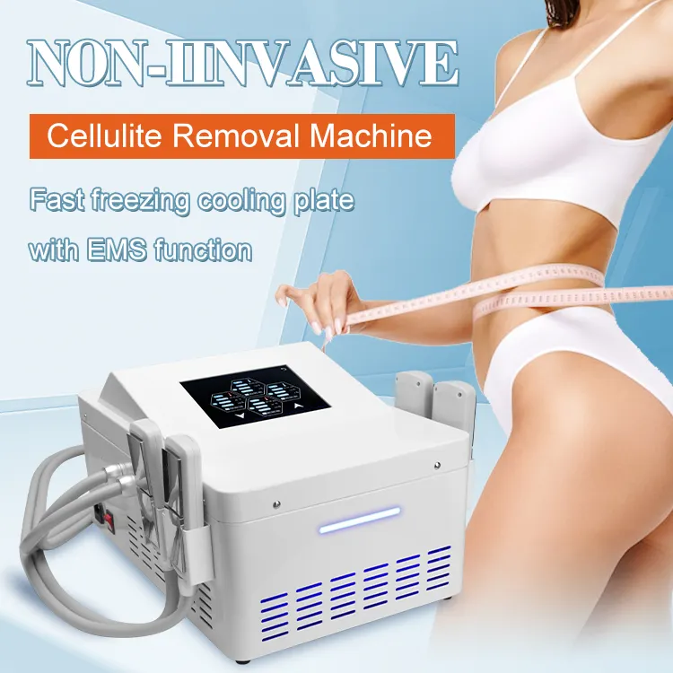 Professionele Cryo Shock Cellulitis Lichaam Afslanken Draagbare Plaat Cryolipolysis Machine Voor Salon