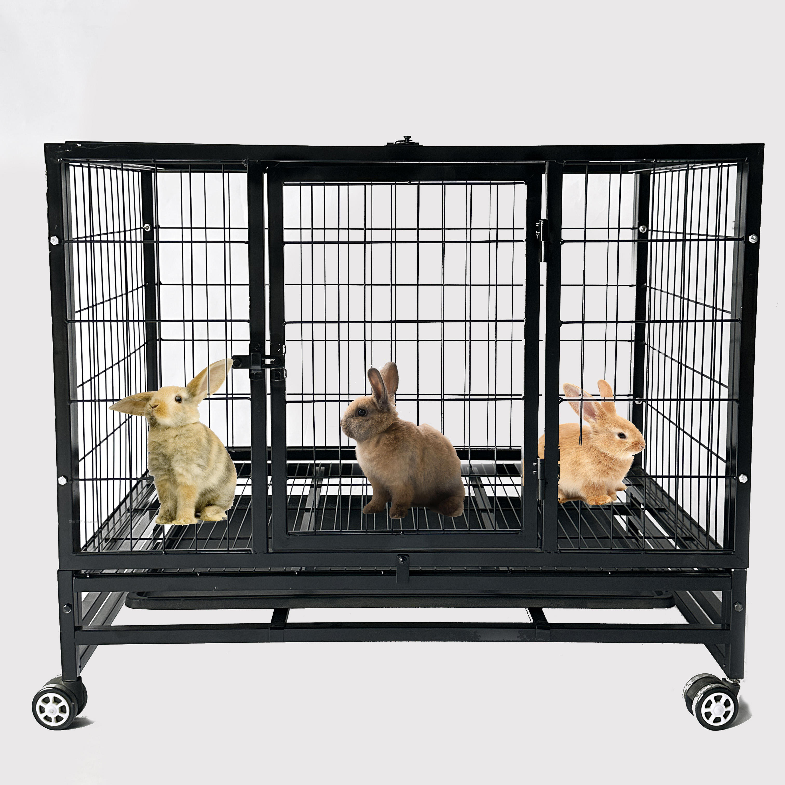 Raising Rabbits Best Way To Set Up Rabbit Cage Outdoor Rabbit