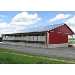 Стальной каркас, здание склада, сборные стальные конструкции, ферма, сарай для сена
