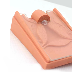 YULINプラスチック看護女性膣解剖モデルとIUDシミュレータ避妊ガイダンスモデル - Product Image 6