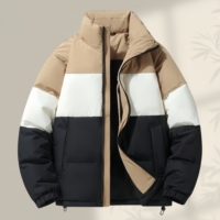 Doudoune Homme Légère et Chaude en Duvet de Canard 90% pour l'Hiver, Idéale pour le Ski et les Loisirs, Col Montant, Style Urbain Tendance
