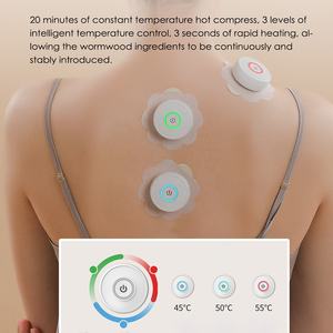 Kotak Moksibusi Terapi Fisik Pemanasan, Peralatan Isi Ulang Mini, Perangkat Moksibusi Tanpa Asap - Product Image 5