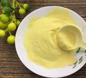 Высококачественный порошок спор ликоподия (<span class=keywords><strong>Lycopodium</strong></span> Clavatum) оптом от производителя - Product Image 4