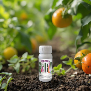 Magnésium, bore, zinc, <span class=keywords><strong>fer</strong></span> et potassium-oligo-éléments pour une amélioration rapide du rendement et de la qualité - Product Image 4