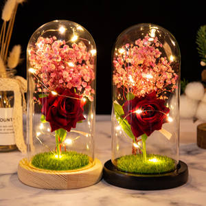 Flor de Rosa artificial TC con luz LED en cúpula transparente para regalos del Día de la madre de San Valentín, regalo de flor seca de Rosa Babysbreath - Product Image 1