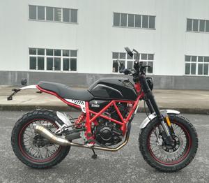 111838 chine motos bon marché pour la vente <span class=keywords><strong>moto</strong></span> FUEGO <span class=keywords><strong>scrambler</strong></span> 250 ville <span class=keywords><strong>moto</strong></span> rue <span class=keywords><strong>moto</strong></span> nouveau design <span class=keywords><strong>moto</strong></span> - Product Image 4