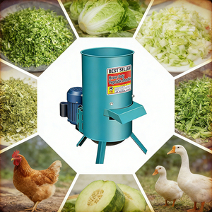 Trituradora de Tallo de Algodón de 3500W, Acero Inoxidable 304, para Cáscaras de <span class=keywords><strong>Semillas</strong></span> de Algodón, Alimento para Ganado Ovino en Uzbekistán - Product Image 6