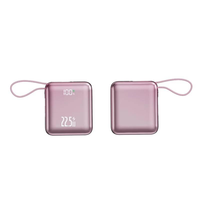 Mini batterie externe portable en plastique avec lampe torche LED et double port USB, batterie au lithium polymère