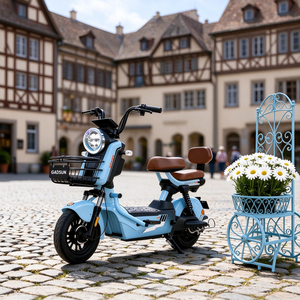 Vélo Électrique Urbain Rétro en Gros <span class=keywords><strong>d</strong></span>'Usine 48V 60V 72V 20Ah 14 Pouces Frein à Disque Avant Deux Places avec Grand Panier pour Adultes - Product Image 5