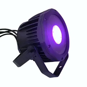 Hot Sale 200w RGBW Infinite Mixing Color LED COB Par Light Outdoor Waterproof Stage Lighting