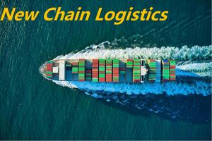 Agente de envío marítimo de China FCL LCL 20GP 40HC 40HQ Envío marítimo a Hawái con servicio DDP DDU - Product Image 5