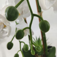 Grandes plantes d'orchidées artificielles, fleurs de mariage, pour une couronne, à prix bas, g