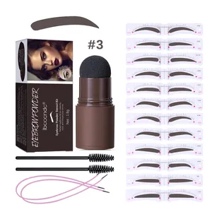Upgraded Brow Stamp Create Eyebrow Colors Makeup Custom Accepted with 12 Shape Stencils TINT Powder