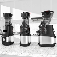 Klantspecifiek logo brede opening 250W slowjuicer extractor van roestvrij staal, commerciële koudpers juicer met reverse functie