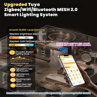 Tuya ZigBee feux sur rail avec Projection 2-wire CCT belt LED track light.100-watt et 20-watt DALI têtes de lumière sur rail