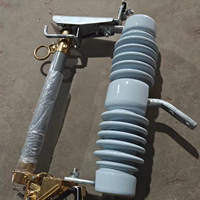 Disjoncteur-coupant céramique monté sur poteau série RW12 12 kV 200 A, fusible d'expulsion, norme IEC, pour projets de réseaux électriques EPC