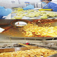 Ligne de production industrielle automatique de chips de pommes de terre : Machine à frire de 200 à 2000 kg/h pour frites surgelées et snacks
