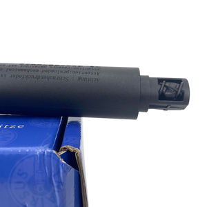 Vérin de hayon électrique/actionneur de hayon électrique 51247332696 51247294588 pour X5 E70 E70 <span class=keywords><strong>LCI</strong></span> 2007-2013 RH - Product Image 3