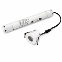 Kit d'éclairage d'urgence LED rechargeable à test automatique avec batterie Li-ion, capuchon de lampe en métal et tube en aluminium IP42
