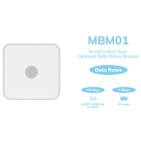 Dispositivos IoT Minew, Balizas UWB de Ultra Largo Alcance, Localizadores RTLS AoA, IP67, Nrf52832, Nrf52810, Beacon AoA, iBeacon