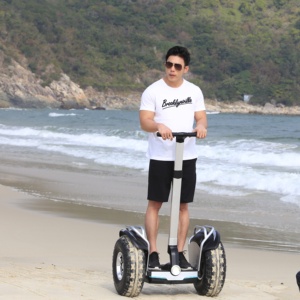 Scooter Autoequilibrado de 20 Pulgadas, Carga de 150 kg, 20 km/h, Stock en EE. UU., Odeway - Product Image 5