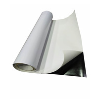 Film de protection de peinture automobile en PVC PPF brillant mat blanc auto-adhésif, rouleau de film de lamination vinyle pour véhicule, feuille de protection de carrosserie automobile, folie pegatinas, revêtement