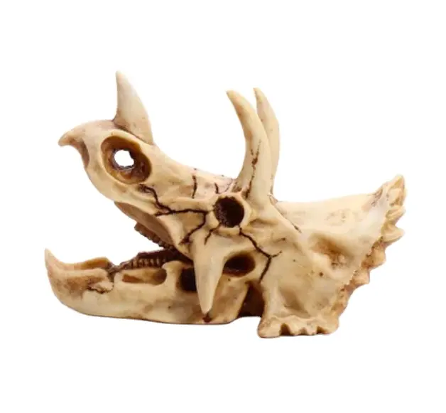 Resin Triceratops Bone Resin Model Dinosaur Collection Home Craft