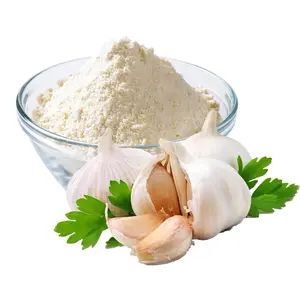 High Quality Dried Garlic Powder Factory Supply Dehydrated Minced Garlic Export