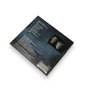 Minimal Full Color Printed 6 Panel Fold-out Cardboard CD Wallet Sleeve For Music Album Disc Packaging - Product Image 6