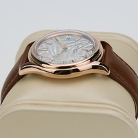 Cadran Analogique Super Lumineux de 38mm en Acier Inoxydable 316L Logo Personnalisé NH35 Mouvement Automatique Montre-Bracelet de Luxe pour Dames Bande de 20mm