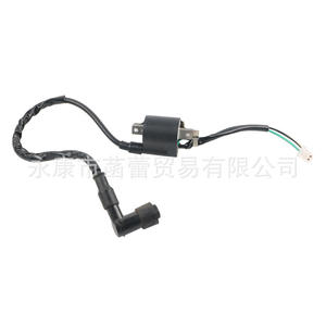 Bobinas de Encendido de Alto Voltaje para Motocicletas, Vehículos Todoterreno, Buggy de Playa, con Motor de 50-110cc - Product Image 4