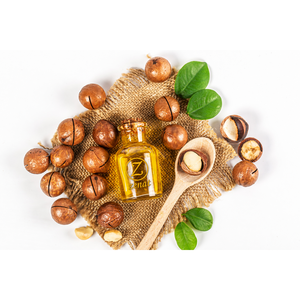 Olio di Noci di Avellana Raffinato per Uso Cosmetico e Alimentare 1000 L Spagna Zenat International Group - Product Image 5
