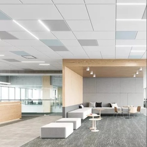 Vẻ đẹp đông 600x600 đặc điểm kỹ thuật nhôm coustical trần giả Bảng điều khiển - Product Image 5