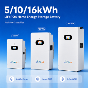 Système de stockage d'énergie mural LiFePO4 5kWh 10kWh 16kWh pour la maison, pack de batteries avec sortie 10-20kW pour la sauvegarde solaire hybride/hors réseau - Product Image 2